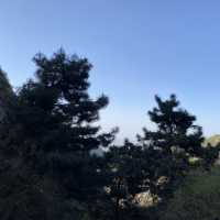 Cuihua mountain (part 2) - Nature