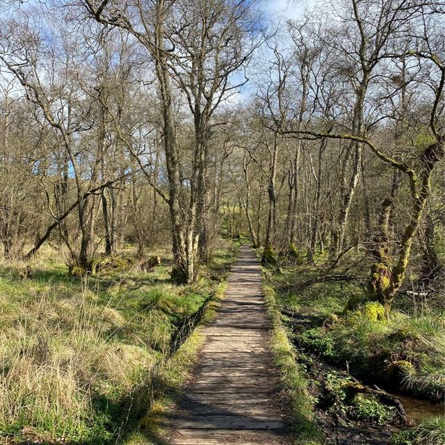 Mugdock Wood & Loch