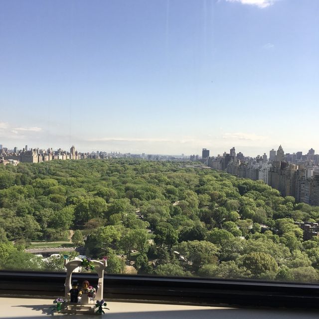 Sitting by the window & admire Central Park