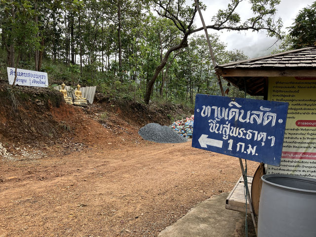 เดินป่า “ดอยง้ม” อ.บ้านธิ จ.ลำพูน