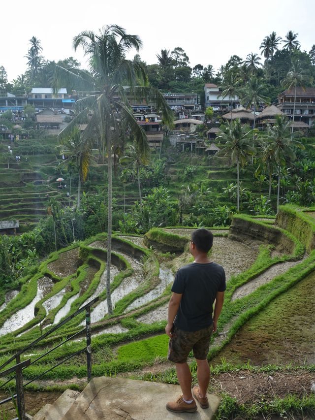 Not just the ocean, you must have never seen a Bali like this!