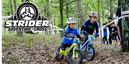 Strider Adventure-Cross - Bentonville, AR 2023 | Bentonville City Square