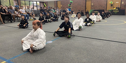 FREE KIDS MARTIAL ARTS CONCENTRATION AND FOCUS CLASS | Premier Martial Arts Chandler East, East Riggs Road, Chandler, AZ, USA