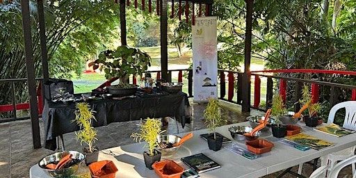 Curso Fundamentos Basico del Bonsai | Jardín Botánico de la UPR