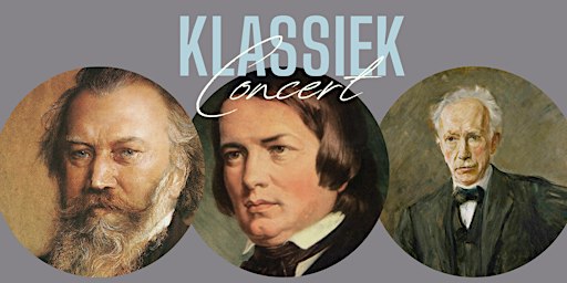 Klassiek Concert: Brahms, Schumann, Strauss | Emile van Leenen Piano's en Vleugels
