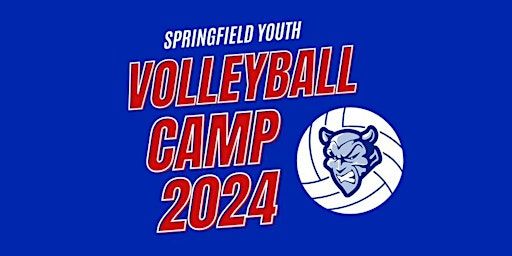 Springfield Youth Volleyball Camp | Springfield High School