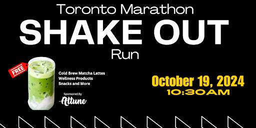 Toronto Waterfront Marathon Shakeout Run | Canoe Landing Park