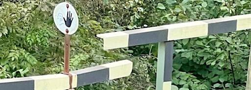 Forward, Backward, or Sideways… | Holzmarkt 25