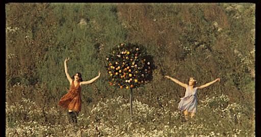 Miami Moviegoers presents: Daisies | Villain Theater