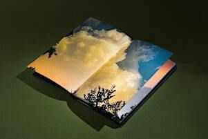 "Meet the Artist" with Mark Alice Durant | The Center for Photography at Woodstock