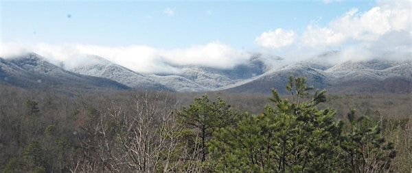 Winter Painting: Finding Beauty in the Cold Months | The North Carolina Arboretum