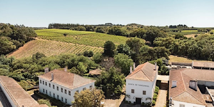 Quinta do Sanguinhal Wine Tasting Experience | Metro Liquor Trainstation