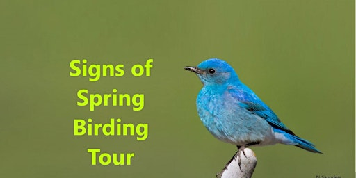 Signs of Spring Birding Tour | Wild Birds Unlimited