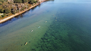 Brownsea Bliss | Brownsea Island - Sandbanks