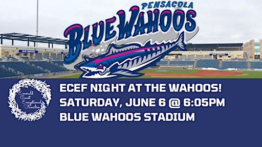 ECEF NIGHT AT THE WAHOOS! | Blue Wahoos Stadium featuring Admiral Fetterman Field - Home of the Pensacola Blue Wahoos