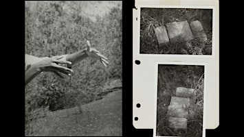 Public Opening | Divination: Beverly Buchanan & Dionne Lee | Contemporary Arts Museum Houston