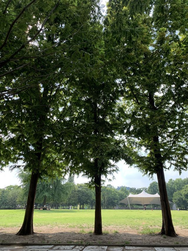 서울에서 나들이 즐기기 :: 서울숲🌱