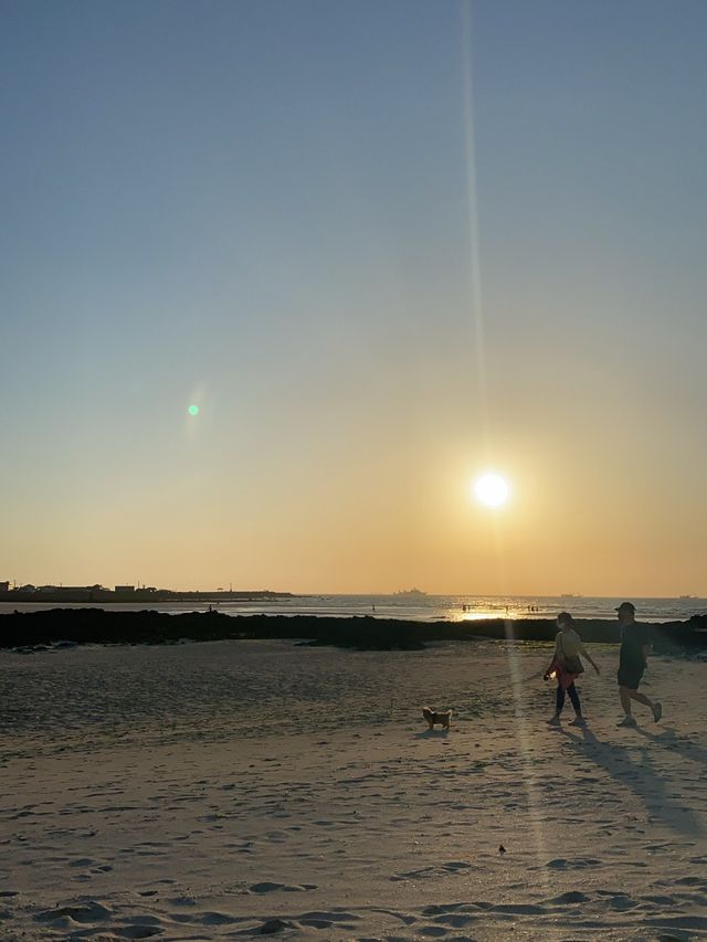 노을맛집 🌅 피크닉