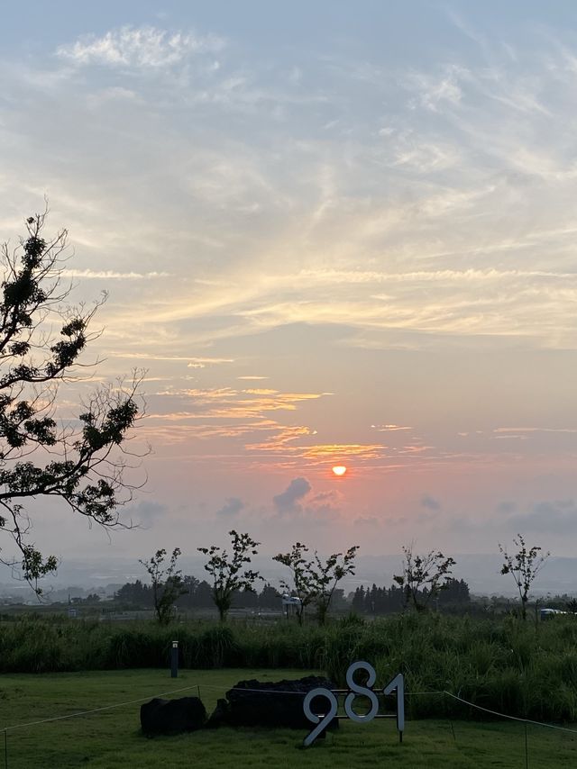 제주 액티비티가 하고 싶다면 - 981파크