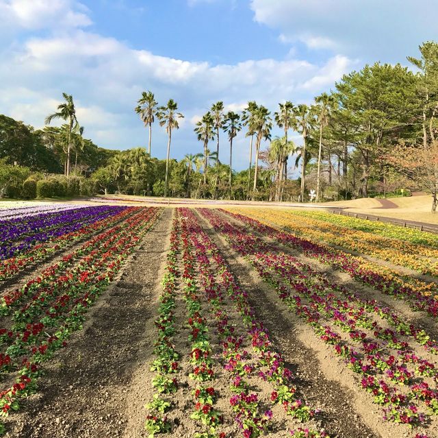 【鹿児島】フラワーパークかごしまは絶景！