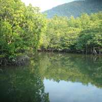 สถานีพัฒนาทรัพยากรป่าชายเลนที่ 4 เกาะช้าง