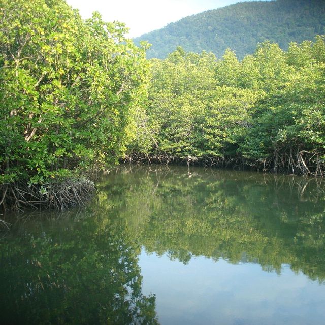 สถานีพัฒนาทรัพยากรป่าชายเลนที่ 4 เกาะช้าง