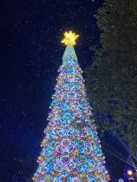 【玩樂】✨迪士尼|無憂無慮嘅魔法世界🎄✨