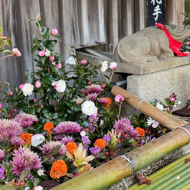 【京都】北野天満宮｜学問の神様🎓✨