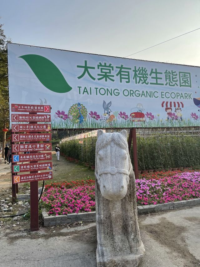 大棠有機生態園:近距離接觸各種小動物! 大棠有機生態園:近距離接觸各種小動物!
