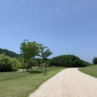 [울산 중구] 한적하고 고즈넉하게 여유를 즐길 수 있는, 정말 아름다운 공원🌳
