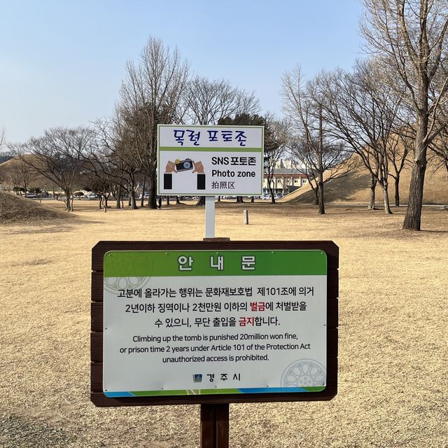 경주 포토존 여행코스 , 대릉원 