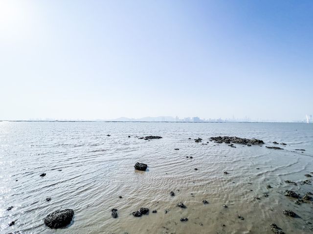 最美海景 下白泥