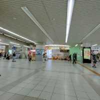 【兵庫県 明石市】季節の花咲く明石駅🌸🌸🌸