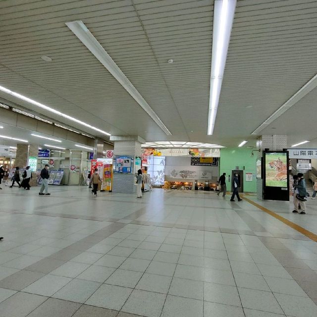 【兵庫県 明石市】季節の花咲く明石駅🌸🌸🌸