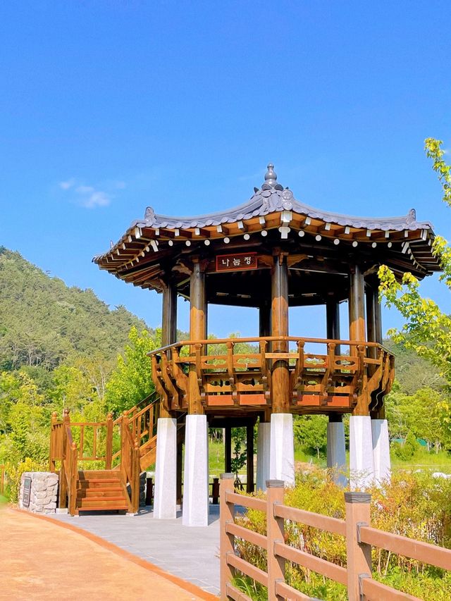 부산 봄나들이 가기 좋은 해운대 수목원 🌿