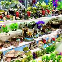 ［金魚街］- 🐠老少咸宜🐢😃