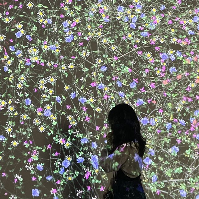 [부산 전시회] 부산여행에서도 전시회는 봐야지🖼