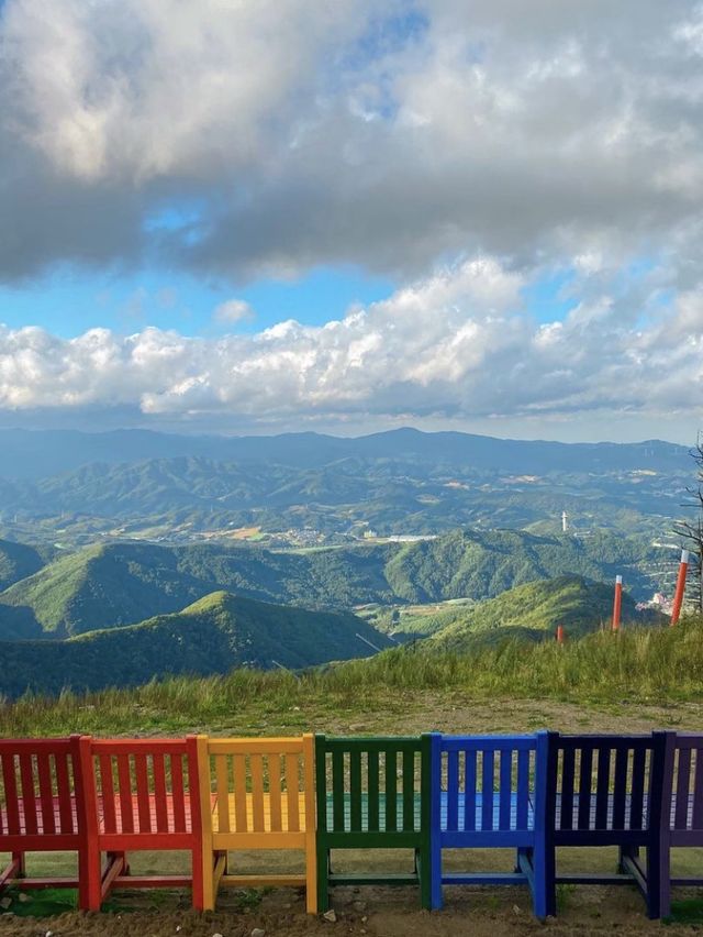 천혜의 자연을 한 눈에 담을 수 있는  발왕산 기(氣) 스카이워크 ☁️