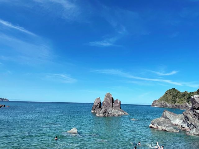 宜蘭東澳粉鳥林