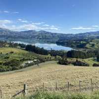 Akaroa New Zealand