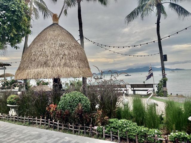 CoCo Tam's BOPHUT SAMUI