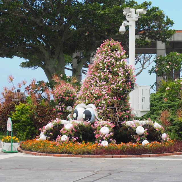 沖繩地標⚠️海洋博公園✅了解沖繩海洋歷史🔱