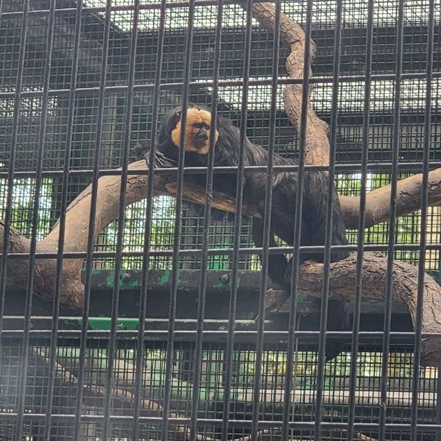 公園特色，歴史