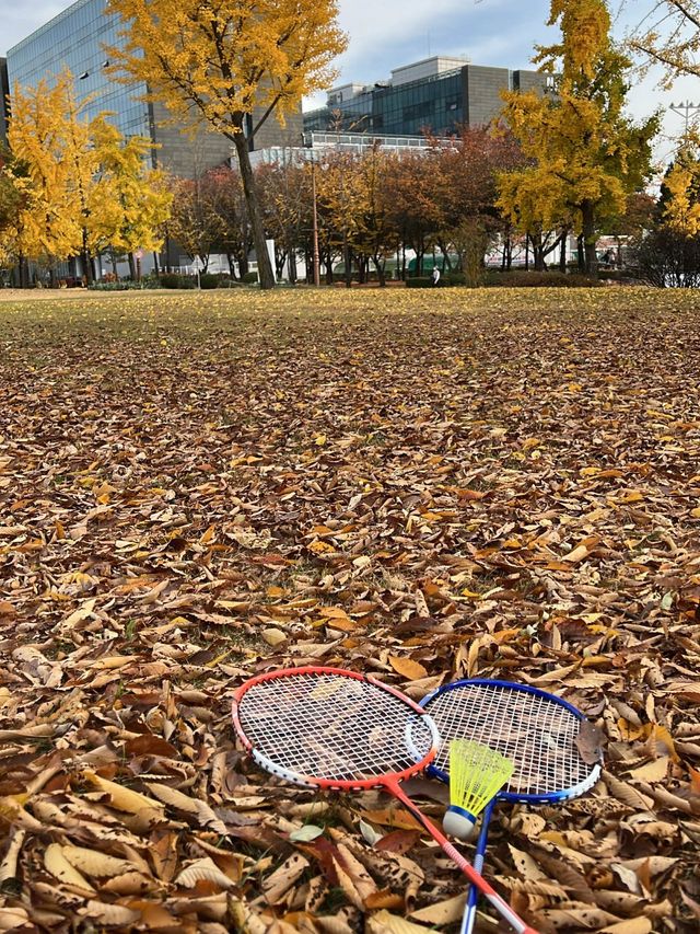 Autumn View of Samsung Library