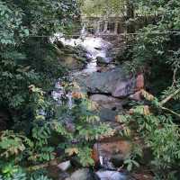 Penang Botanic Gardens