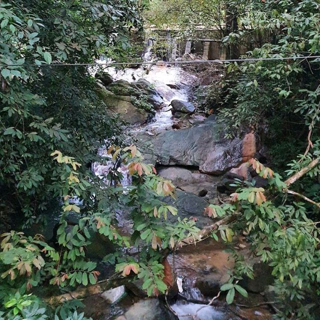 Penang Botanic Gardens