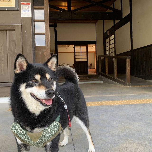 昭和30年代へタイムスリップ
