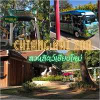 🦩🦘 Chiang Mai Zoo 🦥 🐘