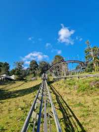 Jungle Coaster, Chiangmai 