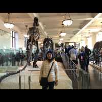 มาเที่ยว American Museum of Natural History ค่ะ
